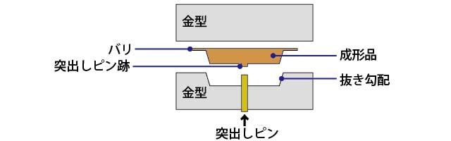 photo_NEC_0105.JPG